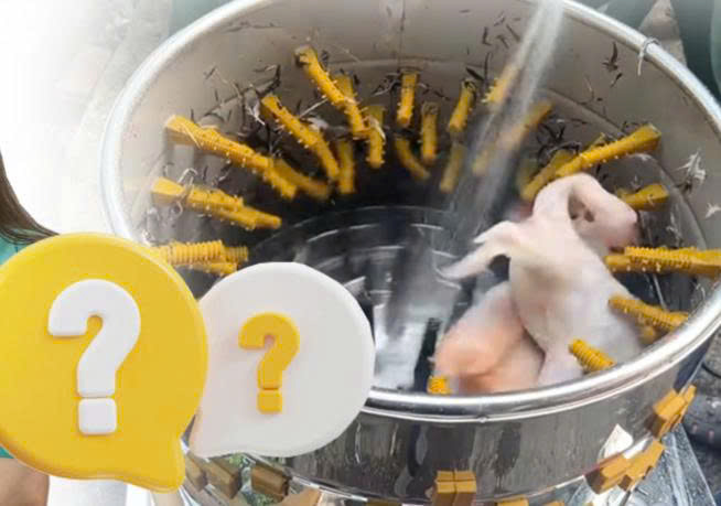 Máy vặt lông có khiến thịt gà vịt bị nhão không?